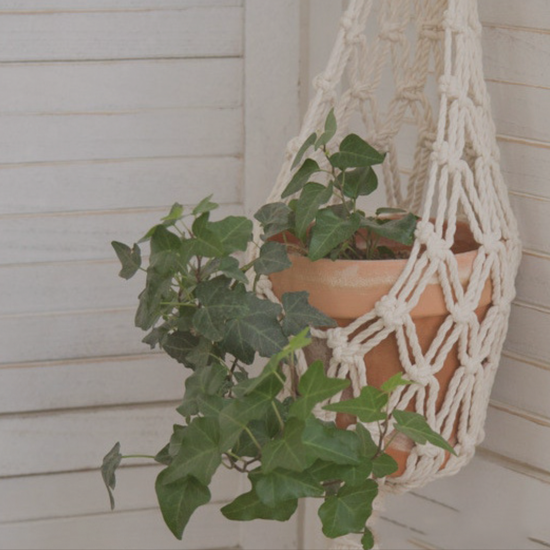 The Hanging Ritual Set I – IV - Hand-Woven Plant Hangers - The Sonne Haus