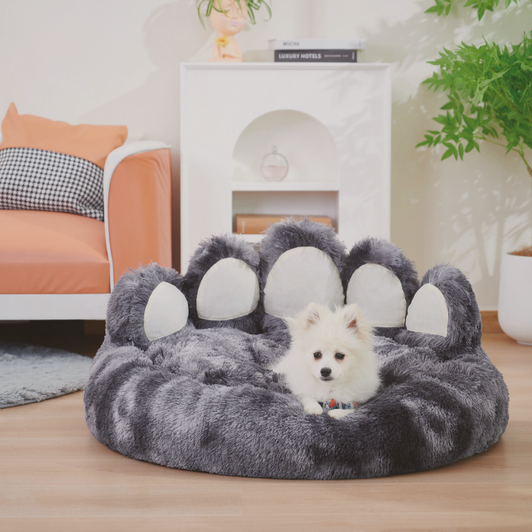 Plush Pet Bed, Bear Paw Dog Bed, Cute Cat Bed, Cozy Dog Bed, Small Dog Furniture, Paw Shape Pet Bed, Dog Bed for Small Dogs, Cat Bed Indoor, Plush Cat Furniture, Feline + Figaro, Pet Lounge Bed, Raised Edge Pet Bed, Soft Dog Bed, Funny Dog Bed, Pet Beds with Style, Cat Bed for Window, Cozy Pet Sleeping Space, Pet Throne Bed, Decorative Dog Bed, Dog Bed That Looks Good