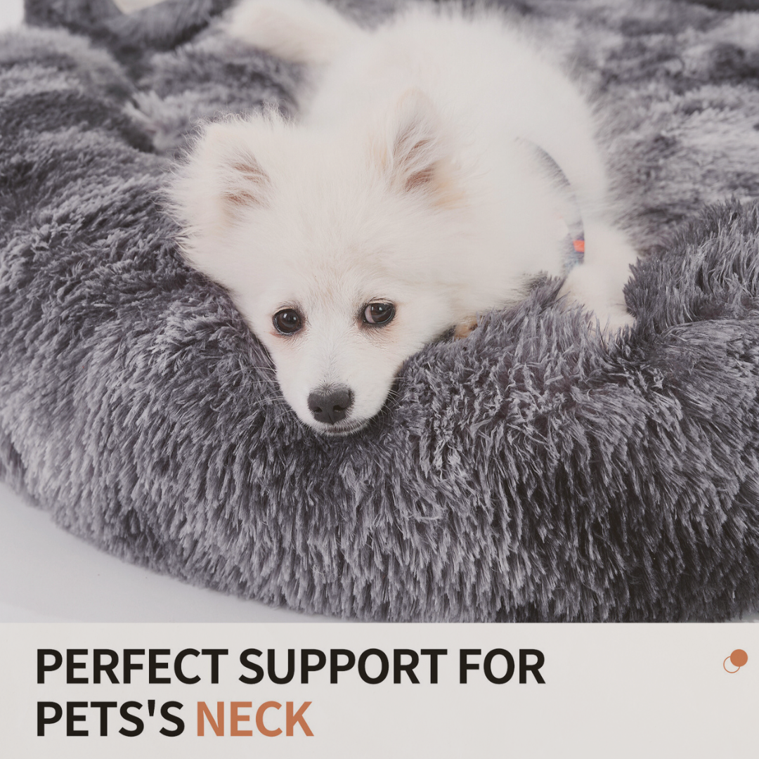 Plush Pet Bed, Bear Paw Dog Bed, Cute Cat Bed, Cozy Dog Bed, Small Dog Furniture, Paw Shape Pet Bed, Dog Bed for Small Dogs, Cat Bed Indoor, Plush Cat Furniture, Feline + Figaro, Pet Lounge Bed, Raised Edge Pet Bed, Soft Dog Bed, Funny Dog Bed, Pet Beds with Style, Cat Bed for Window, Cozy Pet Sleeping Space, Pet Throne Bed, Decorative Dog Bed, Dog Bed That Looks Good