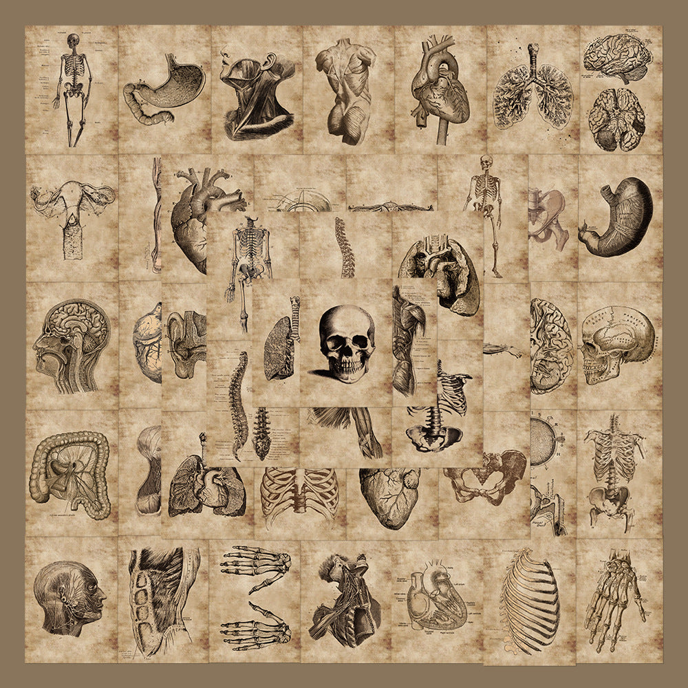 56 Anatomy Human Skeleton Sticker Notebook